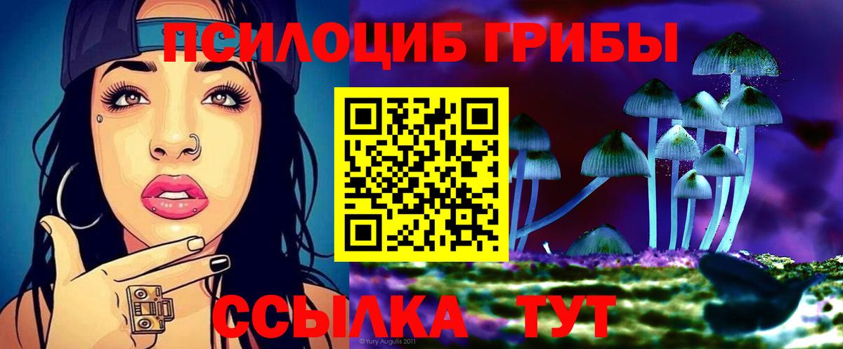 Галлюциногенные грибы Psilocybe  Вход с VPN  Галлюциногенные грибы мицелий  Усолье-Сибирское 